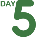 Dayfive