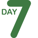 Dayseven